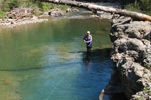 Fishing from directly below a trout is the most effective way to ensure a drag-free drift.