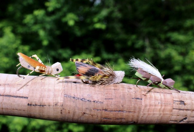 Selection of grasshopper patterns.