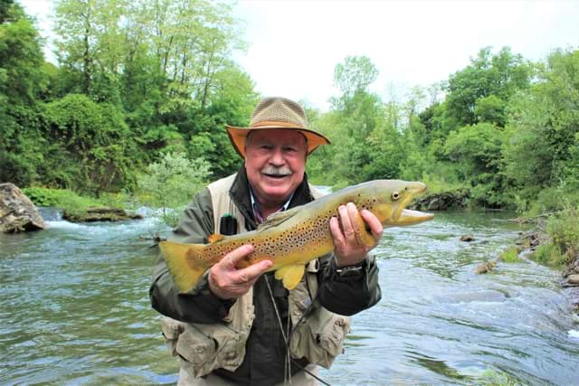 Sieve River brown trout.