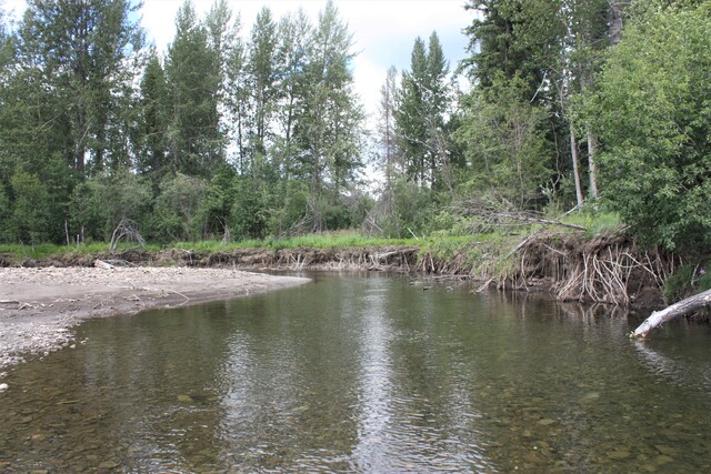 Under-cut banks with covering vegetation are prime trout and grayling water