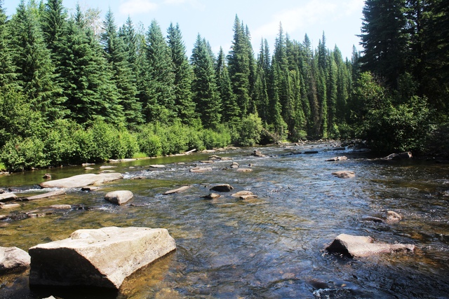 Rock garden runs create super holding water for feeding fish.