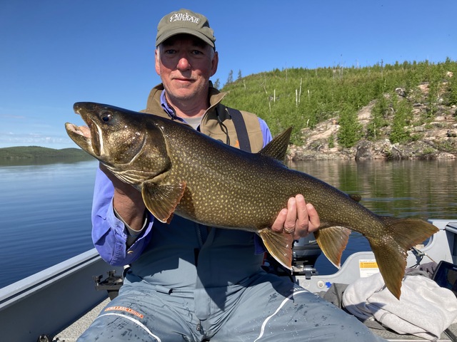 We caught numerous chunky lake trout, but Ena gives up fish nearing 50 lbs. every year.