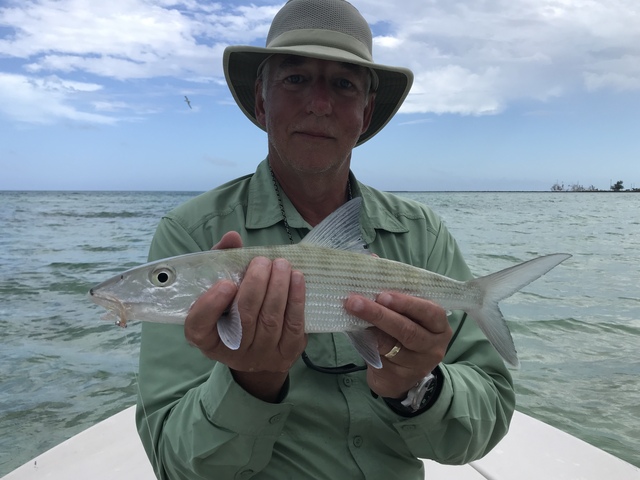 My first bonefish of the trip. Average bonefish are in the 2- to 4-pound class.