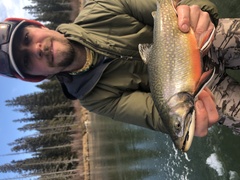 First ice brookies are an amazing fish to catch!