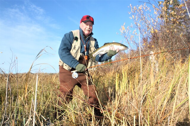 Stocked trout fisheries produce large numbers of catchable trout