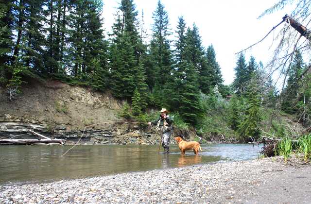 fisherman standing in river stream with dog 