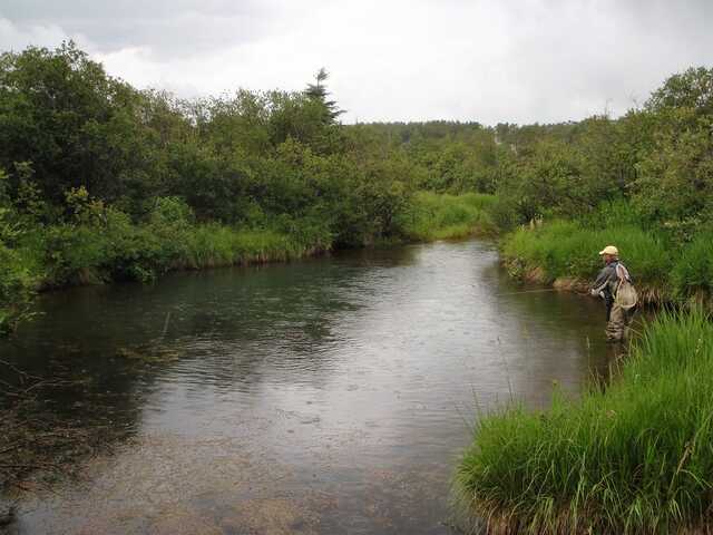 wide shot of stream with man on the right handside standing in water fishing