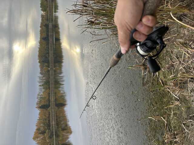 fishing pondside with rod in hand