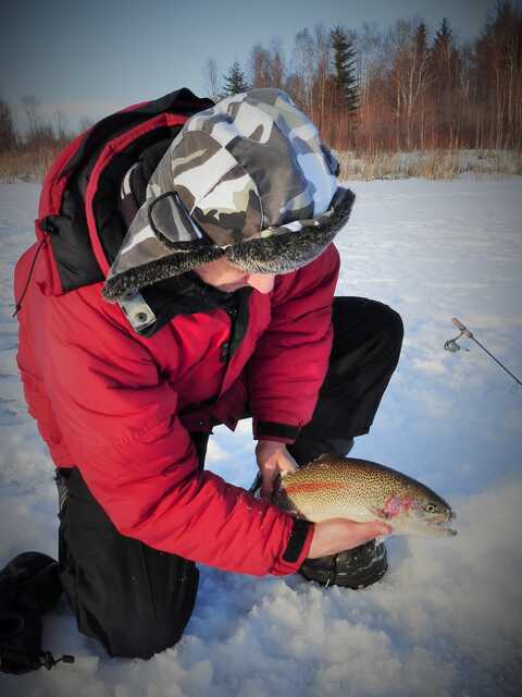 man kneeling on snow holds fish in hands