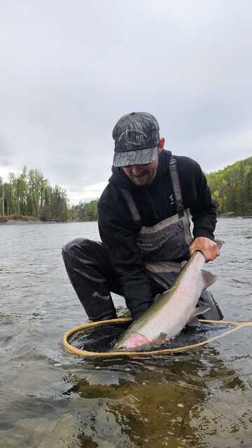 man kneeling in shallow water catches large fish with net